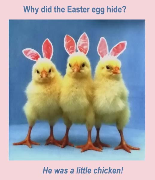 Easter Memes For Pinterest
