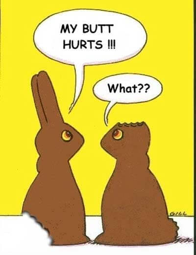 Easter Bunny Meme