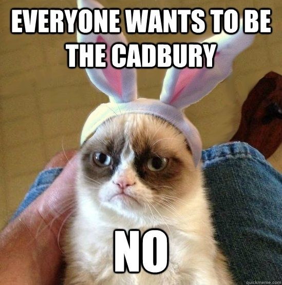 Easter Cat Meme.