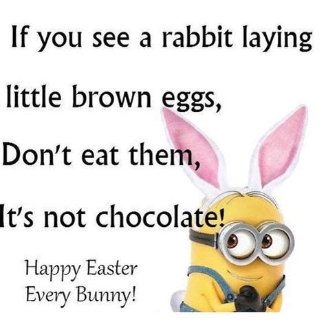 Funny Easter Bunny Meme