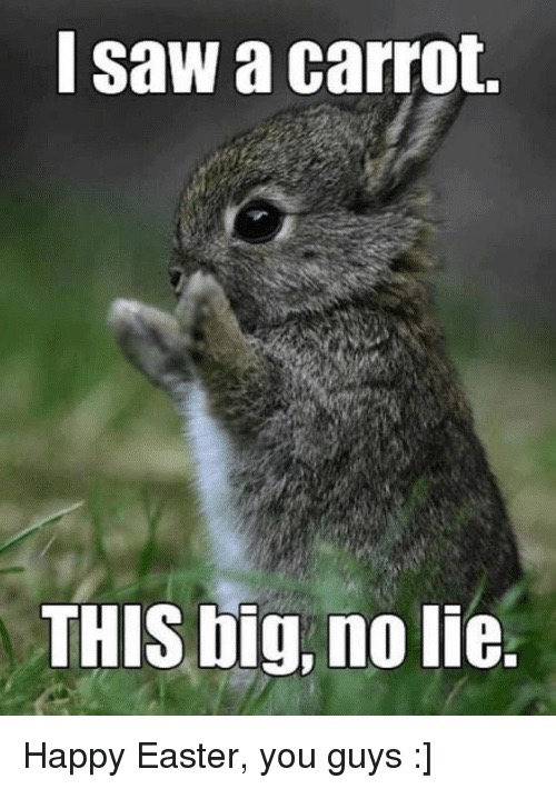 Happy Easter Meme 21 Funny Pictures Pics Photos For Facebook